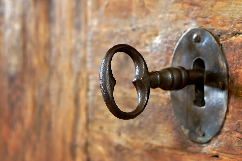 After BDNF arrives at the surface of a cell it can only have effects if it is received at the appropriate receptor.  It works quite a bit like a key fitting into a lock.  
