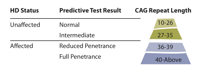جدول يلخص النتائج المختلفة المحتملة لاختبار تنبئي لجين هنتنغتين.  