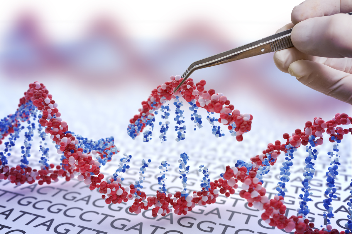 كريسبر هي تقنية لتعديل الجينات تسمح للعلماء بتغيير منطقة تسلسل الحمض النووي بدقة. استخدم العلماء في هذه الدراسة تقنية كريسبر لإسكات كلتا نسختي جين هنتنغتين مما جعل الأعراض أفضل في نماذج فئران داء هنتنغتون.  